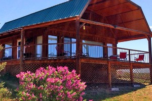 Wilderness Spirit Cabins - pets welcome