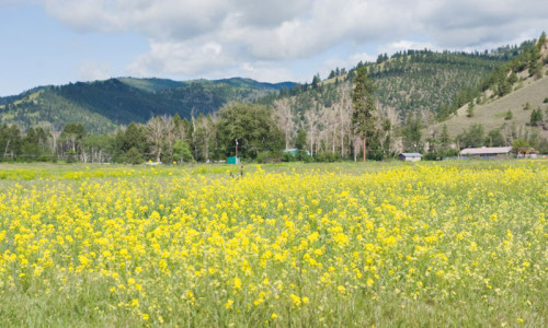 Lolo Montana Lodging
